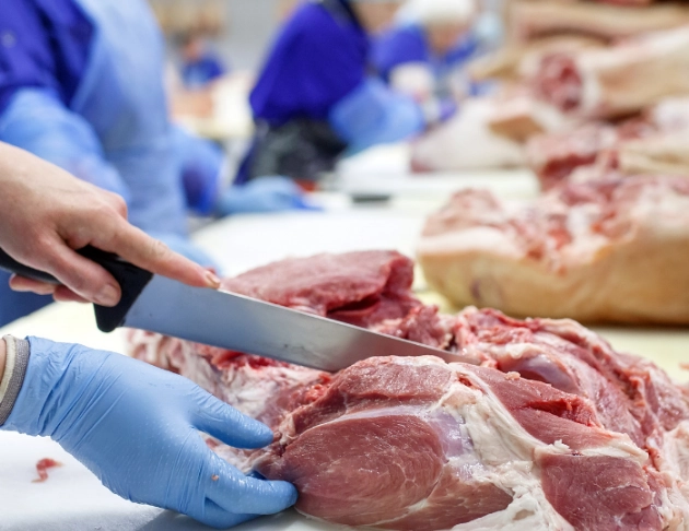 肉類加工廠食品安全 PCR 完整方案