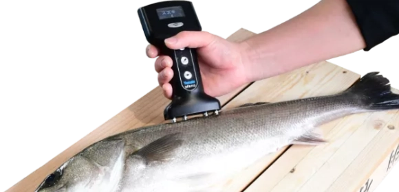 魚類鮮度量測