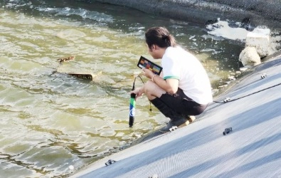 整合式電極可檢測多個關鍵項目