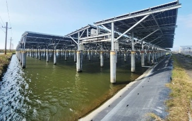 立柱型漁電共生模式